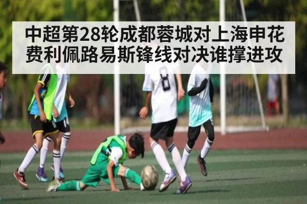 中超第28轮成都蓉城对上海申花费利佩路易斯锋线对决谁撑进攻