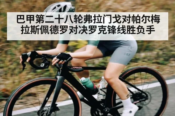 巴甲第二十八轮弗拉门戈对帕尔梅拉斯佩德罗对决罗克锋线胜负手